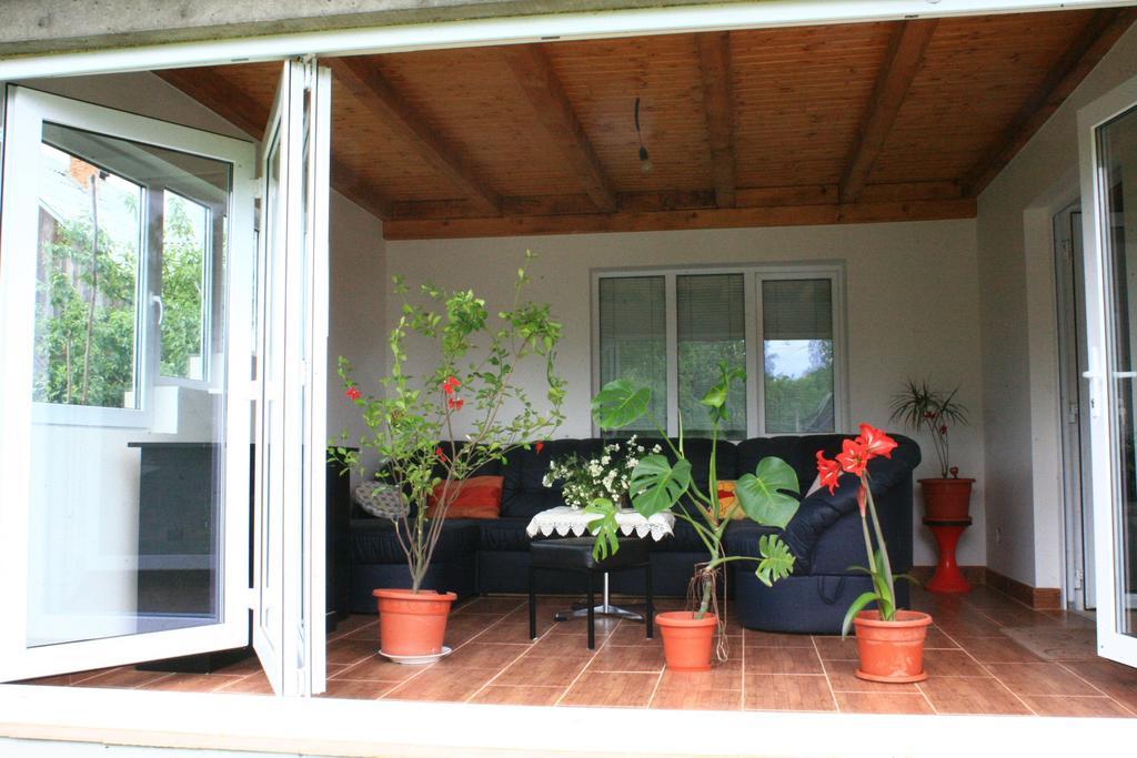 Busta House Hotel Bogdan Voda Exterior photo