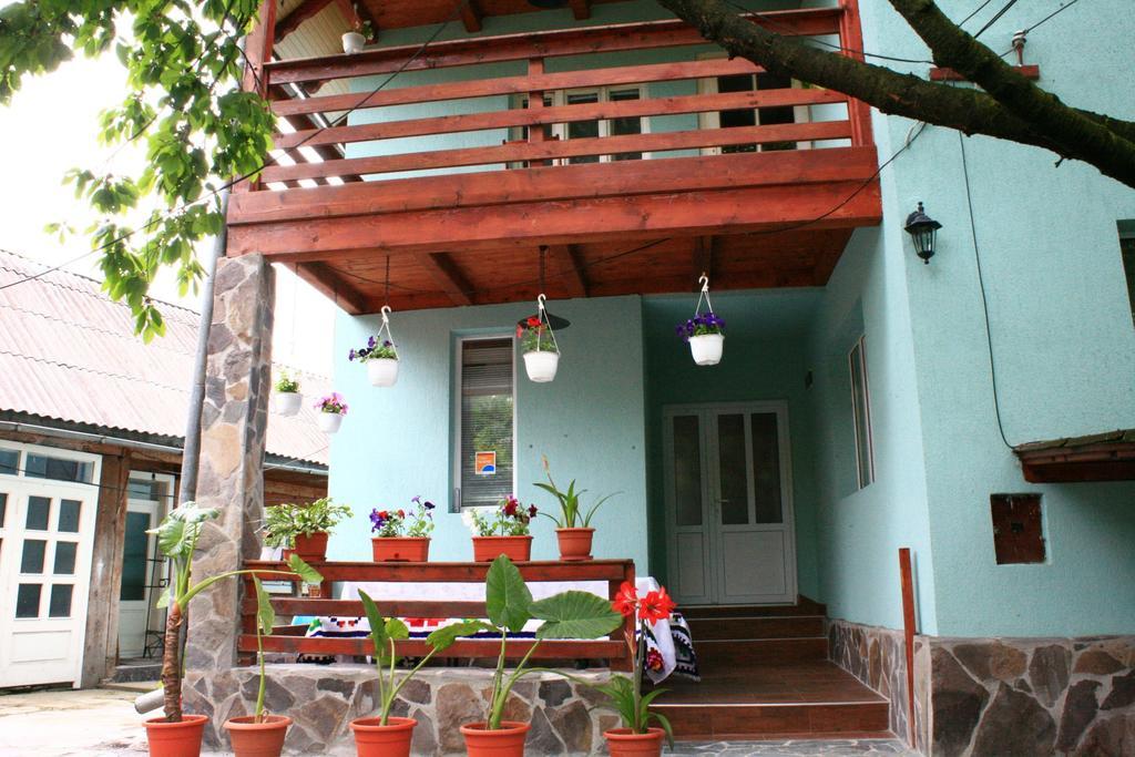 Busta House Hotel Bogdan Voda Exterior photo