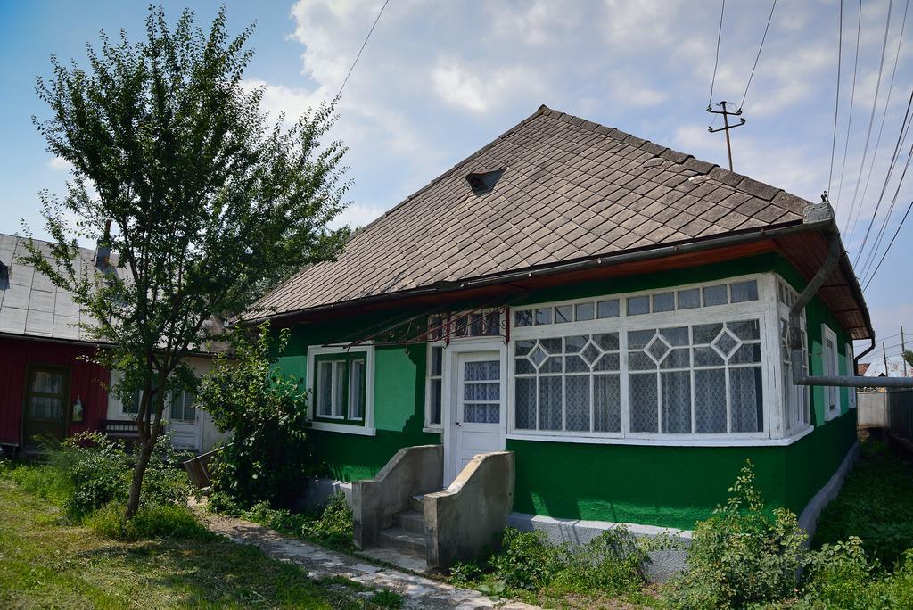Busta House Hotel Bogdan Voda Exterior photo